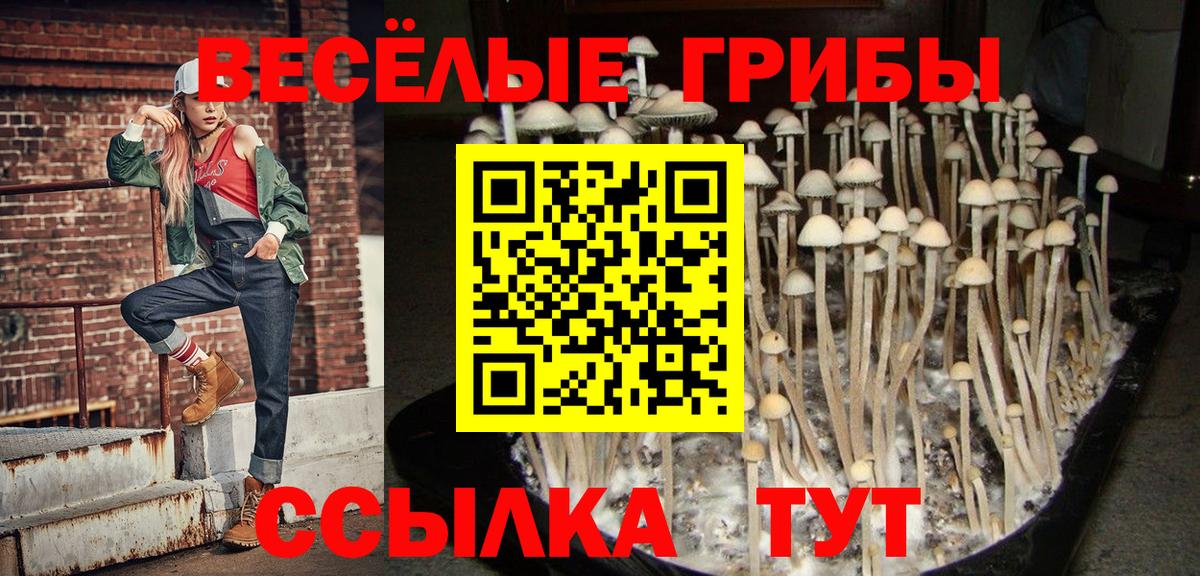 Псилоцибиновые грибы Magic Shrooms  Псилоцибиновые грибы мухоморы  Сегежа  Вход с VPN 